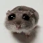 HAMMY图标